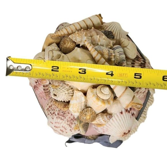 Vtg handmade Shell covered beach Wicker Woven Lace trim Stash Box Basket 6" - Picture 9 of 9